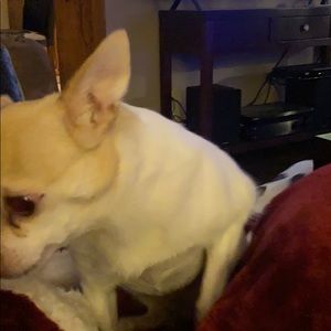 Meet your Posher, Andrea